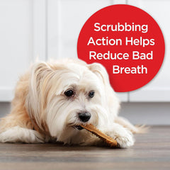 Milk-Bone Original Brushing Chews, Mini Daily Dental Dog Treats Scrubbing Action Helps Clean Teeth