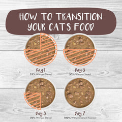 Weruva Classic Cat Stews, Stick A Spork in It with Duck & Salmon in Gravy (Pack of 12)