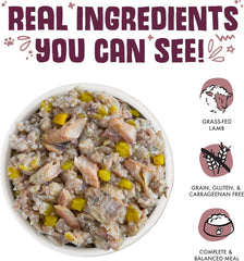 Weruva Classic Dog Food, Hot Dayam! with Lamb in Gelée