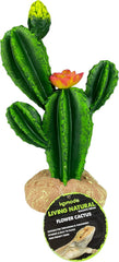 Multi Pet 48593323: Komodo Cactus Plant Flower, 9In