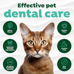 TropiClean Fresh Breath Toothbrush and Toothpaste Kit for Cats, Teeth Cleaning Kit for Plaque & Tartar Removal