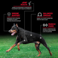 CanineX Beef Protein Grain-Free Dry Dog Food 40 lb