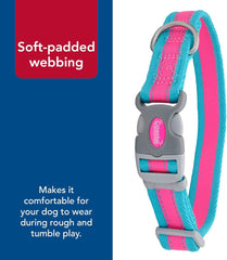Coastal Pet - Pro - Reflective Adjustable Dog Collar, Fuscia with Teal