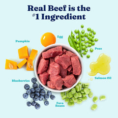 Solid Gold High Protein Dog Food Dry Dog Kibble - Premium Beef Protein & Digestive Probiotics for Energy, Muscle, Gut & Immune Support - Healthy Grain & Gluten Free Dogfood - Nutrientboost 22-lb