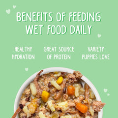 Weruva Puppy, Beef and Rice Formula in Gravy (Pack of 8)