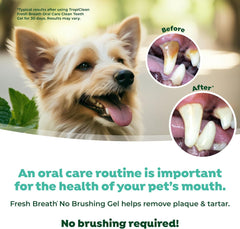 TropiClean Fresh Breath Dog Toothpaste for Teeth Cleaning, Breath Freshener, Easy Plaque & Tartar Remover Gel