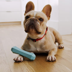 Playology Squeaky Chew Stick Dog Toy for Dogs , All-Natural Peanut Butter Scented