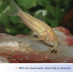 Aqueon Shrimp Pellets Sinking Food for Tropical Fish, Goldfish, Loaches, Catfish and Other Bottom Feeding Fish