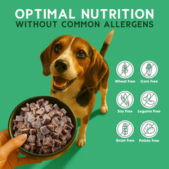 Farmland Traditions The Good List Air-Dried Dog Food, Premium Beef & Bone Broth for Dogs, Protein Rich & Grain-Free Nutrition