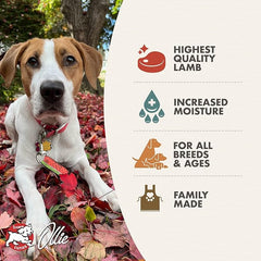 Fromm Lamb & Sweet Potato Pate Dog Food - Premium Wet Dog Food - Lamb Recipe - Case of 12 Cans