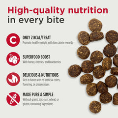 Nulo Salmon Flavor Healthy Dog and Puppy Training Treats, 16 Ounce Pouch