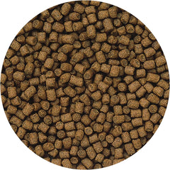 Hikari 12.3-Ounce Lionhead Sinking Pellets for Pets, Mini