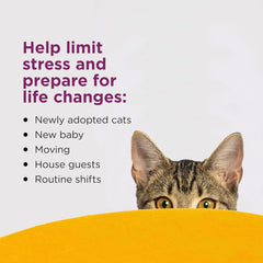 Comfort Zone Pack Cat Calming Diffuser Refills; Pheromones Help Cat Anxiety