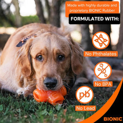 BIONIC Treat Star Dog Toy - High-Visibility Treat Dispenser, Great for Keeping Dogs Busy