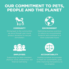 Go! Solutions Carnivore, Grain-Free, Protein Rich Dry Dog Food, Chicken, Turkey and Duck Adult Recipe