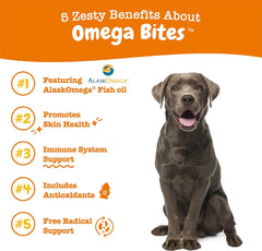 Zesty Paws Omega 3 Alaskan Fish Oil Chew Treats for Dogs - with AlaskOmega for EPA & DHA Fatty Acids - Hip & Joint Support + Skin & Coat Chicken Flavor (90 Soft Chews)