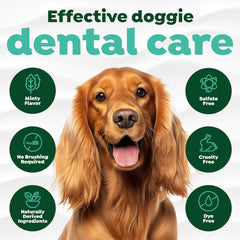 TropiClean Fresh Breath Dental Foam Spray for Dogs & Cats