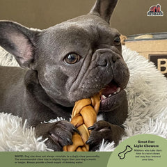 Redbarn Collagen Spring 1 ea