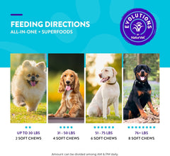 NaturVet Evolutions All-in-One + Superfoods 90ct Soft Chews for Dogs - Bone Broth, Superfoods Provides Nutritional Support for Healthy Digestion, Joints, Skin & Coat, Immune System, Overall Health