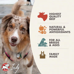 Fromm Diner Breakfast Sam's Steak & Eggs Beef & Eggs Recipe in Gravy Dog Food - Premium Wet Dog Food - Beef Recipe - Case of 12 Cans