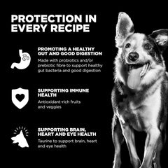 Go! Solutions Sensitivities Limited Ingredients, Grain-Free Dry Dog Food, Duck Recipe for Sensitive Stomach