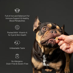 Get Joy Freeze Dried Superfood 100% Beef Kidney Dog Treats, 16 Ounce Bag, Single Ingredient Organ Meat, High Protein, Immune Health, Muscle Repair, Grain Free, Gluten Free, Made in USA