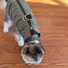 SPOT I Love Dogs Dish -Round Ceramic Food/Water Bowl with High Walls for Pets, Dishwasher Safe, Ideal for Small Dogs, Cats, Reptiles, Large Birds