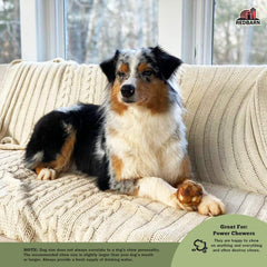 Redbarn Knee Caps for Dogs