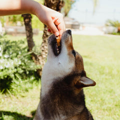 Loving Pets Natural Value Beef Sticks - Soft Jerky Dog Treats for Large & Small Breeds - Healthy Gluten, Wheat, Soy & Grain Free Pet Treats for Dogs