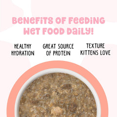 B.F.F. Kitten Food, Cuddle Buds with Chicken & Salmon in Gravy