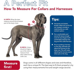 Coastal Pet - Pro - Reflective Adjustable Dog Collar, Bright Blue with Grey