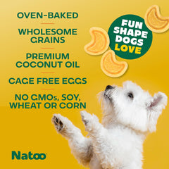 NATOO Biscuits for Small Dogs & Puppies Crunchy Dog Treats, Sweet Potato & Pumpkin Healthy Natural Canine Biscuits, Rich in Omega 6, Prebiotics & Fibers, Antioxidants for Immunity (8 oz)