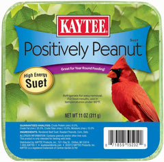 Kaytee Positively Peanut High Energy Mini Suet 11 Ounces
