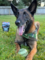 Operation Good Boy Military-Grade Camouflage Bazooka Ball - Natural Rubber Chew Toy for Patriotic Dogs - Massages Gums, and Provides Hours of Interactive Fun, Mental Stimulation, and Durable Chewing