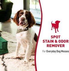 Nature's Miracle Dog Stain and Odor Remover, Everyday Mess Enzymatic Formula, Melon Burst Scent, 32 oz