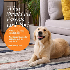 Veterinary Formula Clinical Care Antiseptic and Antifungal Medicated Shampoo for Dogs & Cats – Helps Alleviate Scaly, Greasy, red Skin – Paraben, Dye, Soap-Free (1 Pack)