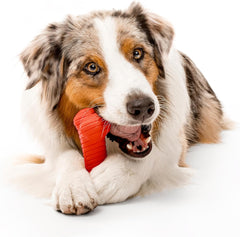 Playology Dual Layer Bone , All Natural Beef