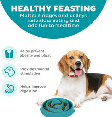 Outward Hound Fun Feeder Slo Bowl, Slow Feeder Dog Bowl, Medium/Mini, Turquoise