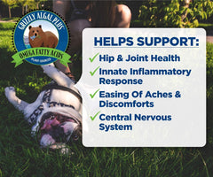 Grizzly Pet Products Algal Plus Omega 3-6-9 Food Supplement for Dogs and Cats