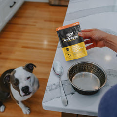 Go! Solutions Booster Joint Care, Grain-Free Wet Dog Food Topper