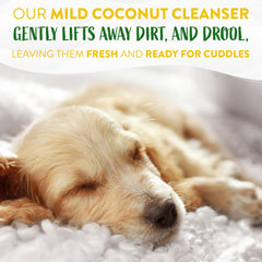 TropiClean Hypoallergenic Dog Wipes for Paws, Butt, Face and Body, Safe for Puppy, Puppy Essentials, Cleaning Deodorizing, Unscented, Cat Safe 100 count