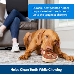 PetSafe Busy Buddy Slab o’ Sirloin Dog Toys – Treat Ring Holding Chew Toy – BPA Free Rubber – Beef Scented – Interactive Pet Puzzle for Boredom or Separation Anxiety – Medium to Large Dogs