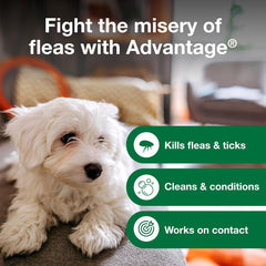 Elanco Advantage Dog Flea & Tick Shampoo for Puppies & Adult Dogs | Kills Fleas & Ticks | 24 oz.
