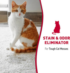 Nature's Miracle Advanced Stain and Odor Eliminator Foam Cat 17.5 Ounces, for Severe Cat Messes, Aerosol