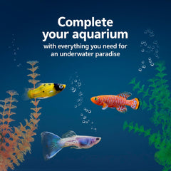 Aqueon Fish Tank Aquarium Essentials Starter Kit