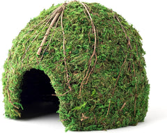 Galápagos Mossy Dome Hide, Vined