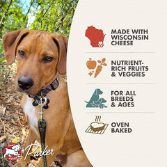 Fromm Four-Star Parmesan Cheese Grain-Free Dog Treats-8 oz