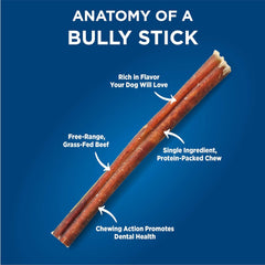 Barkworthies Odor-Free 12 Inch Bully Sticks - Protein-Packed, Easily Digestible, All-Natural Rawhide Alternative, Supports Dental Health