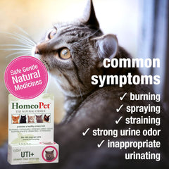HomeoPet Feline UTI Plus, Safe and Natural Urinary Tract Supplement for Cats, Feline Urinary Tract Support, 15 Milliliters