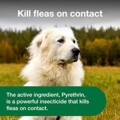 Advantage Dog Flea Treatment Spray | Kills Fleas & Ticks | Dog Flea Spray